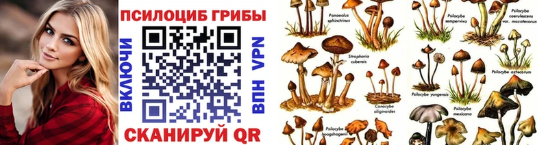 Псилоцибиновые грибы Magic Shrooms Усть-Илимск