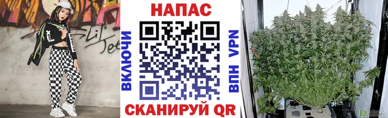 Марихуана THC 21%  OMG вход  Усть-Илимск 